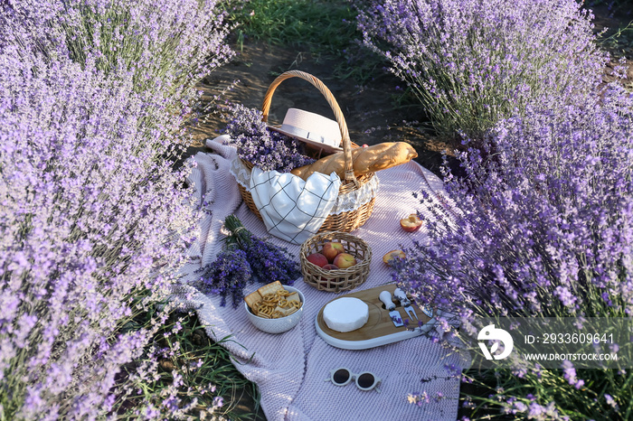 Wicker basket with tasty food for romantic picnic in lavender field