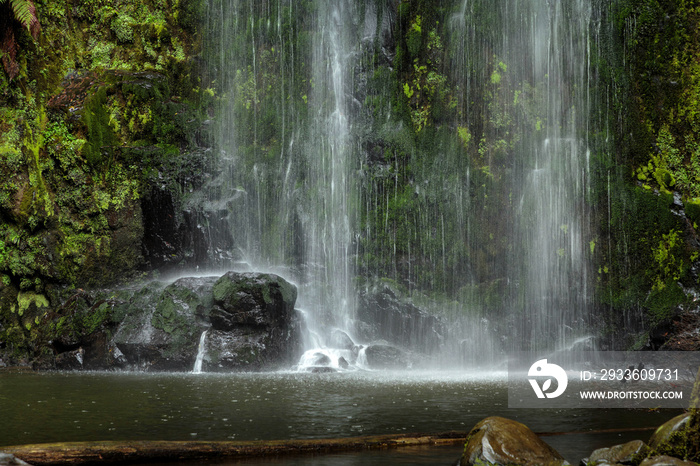 Beauchamp Falls, Great Otway National Park, Victoria, Australia