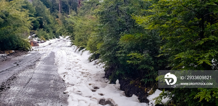 Pucon, Chile. Snowy road in the forest.