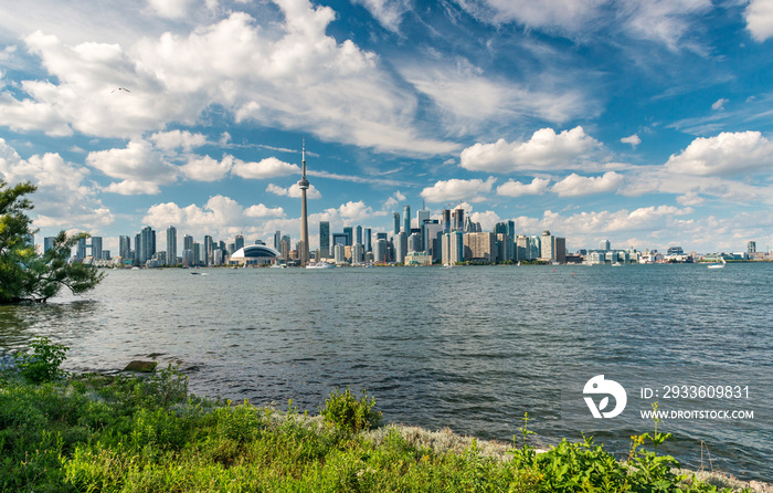 Toronto skyline with  modern buildings and skyscrapers of financial district  under a beautiful summer blue sky with clouds, green grass in the foreground.and Ontario lake.