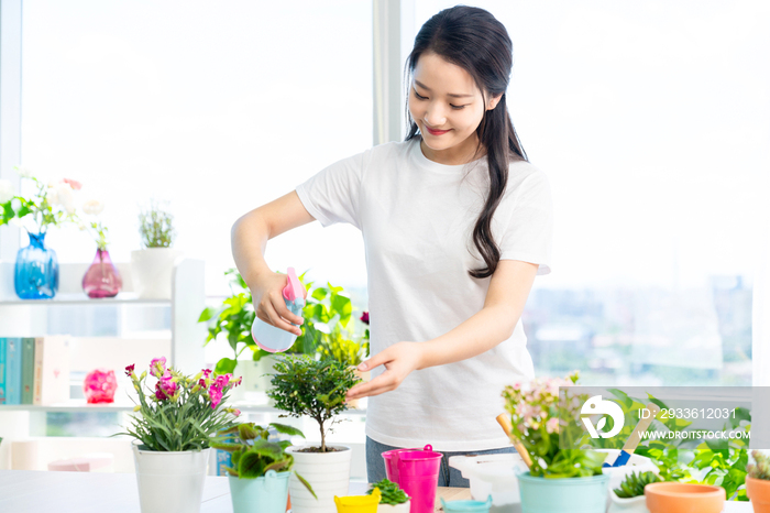 年轻女子在家种植盆栽