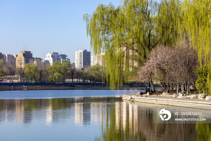 北京玉渊潭公园