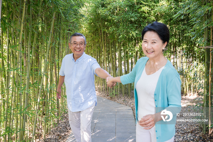 一对老夫妻在竹林散步