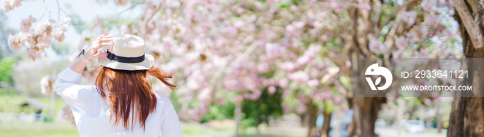 spring season with full bloom pink flower travel concept from backside of beauty asian woman with wear summer hat enjoy with sight seeing sakura or cherry blossom with soft focus flower background