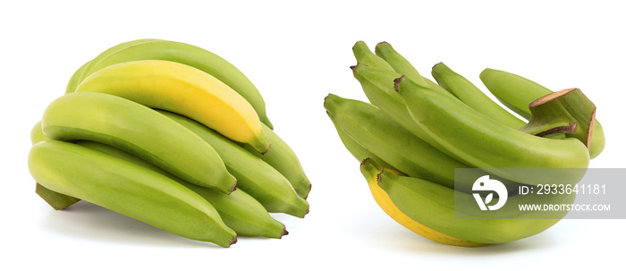 Cavendish banana fruits isolated on white background with clipping path.