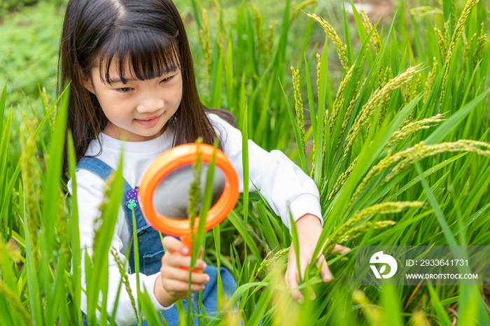 小女孩拿着放大镜观察植物