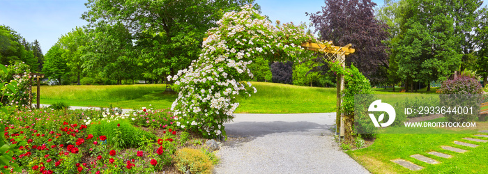 Beautiful park with flower beds and roses in a panoramic format.