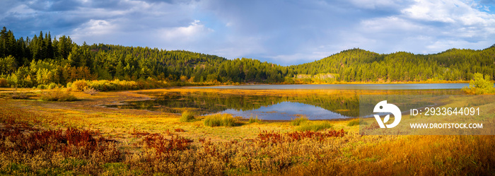 Autumn foliage and golden meadows in the pine tree forest of Spooner Lake next to Lake Tahoe in Nevada