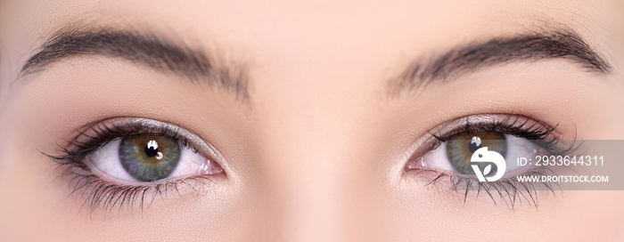 Closeup portrait female green eye with perfect shape eyebrows looking, starring at camera. Eye of young charming girl with perfect clean fresh skin for cosmetic, skincare and beauty concept.