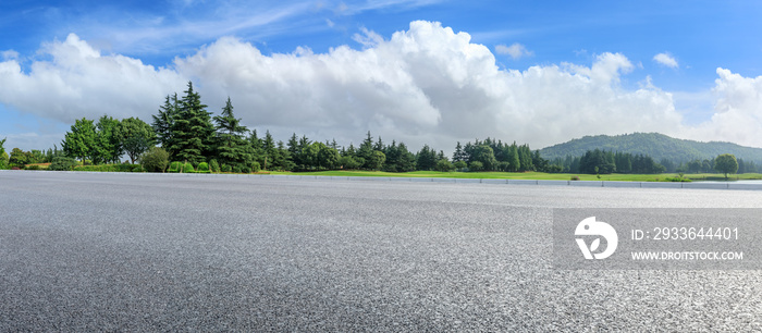 Country asphalt road and green woods nature landscape in summer