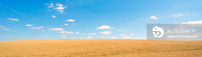 The landscape shows golden wheat fields and a blue sky with white clouds on a sunny summer day