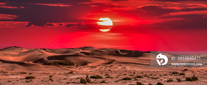 vista dunes at night