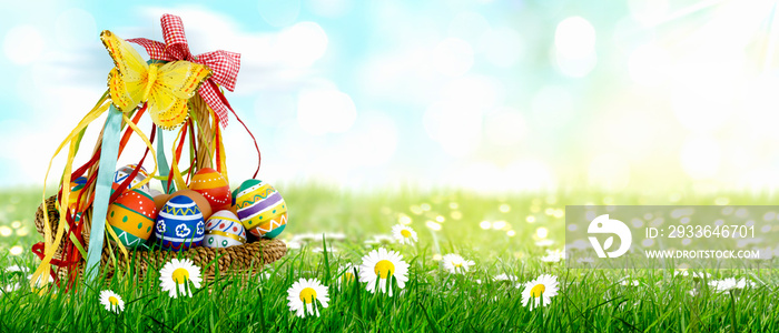 colored easter eggs in the basket on the green meadow with blooming daisies