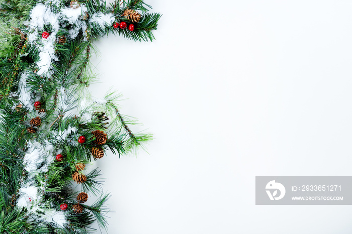 Snow covered Christmas tree branches on left side of solid white background