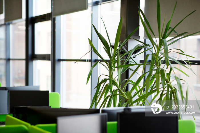 Relaxation area in modern office interior with green plants