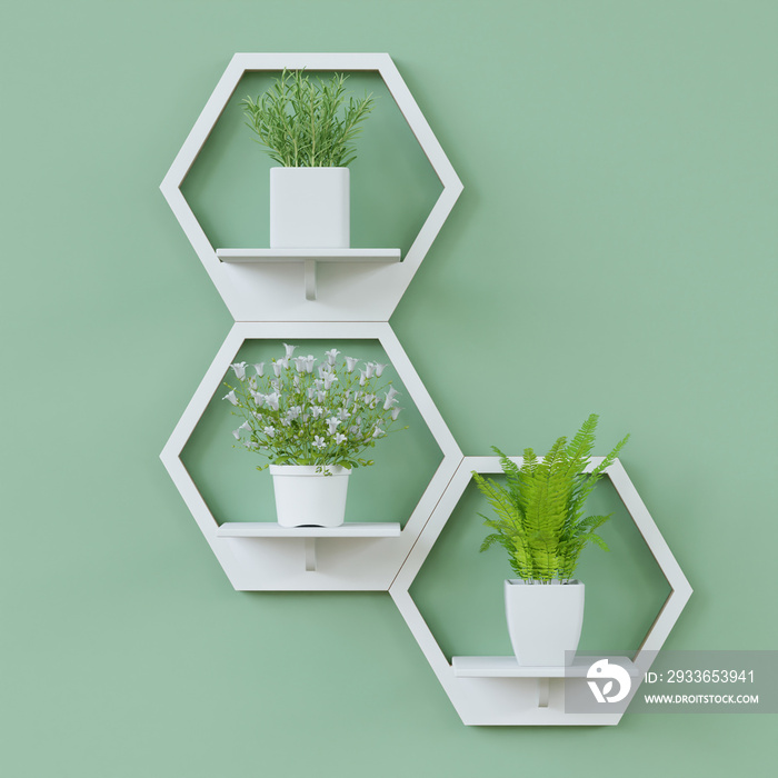 Hexagon wooden shelf, Minimal Japanese style. little tree, floating on the wall copy space hexagon, 