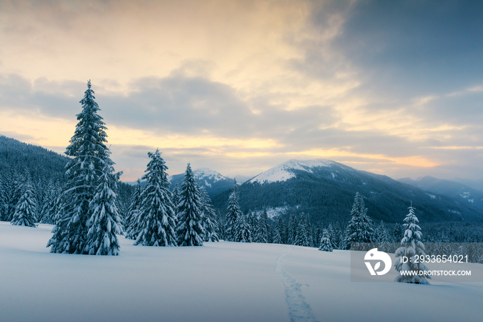 Fantastic orange winter landscape in snowy mountains glowing by sunlight. Dramatic wintry scene with