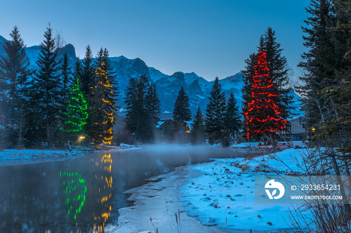 Chrismas Trees on Spring Creek in Canmore