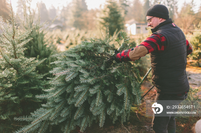 A man at a Christmas tree farm standing with the tree he cut down.