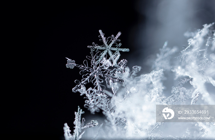 winter photo of snowflakes in the snow