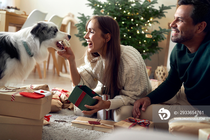 Happy multi ethnicity couple giving Christmas present for dog