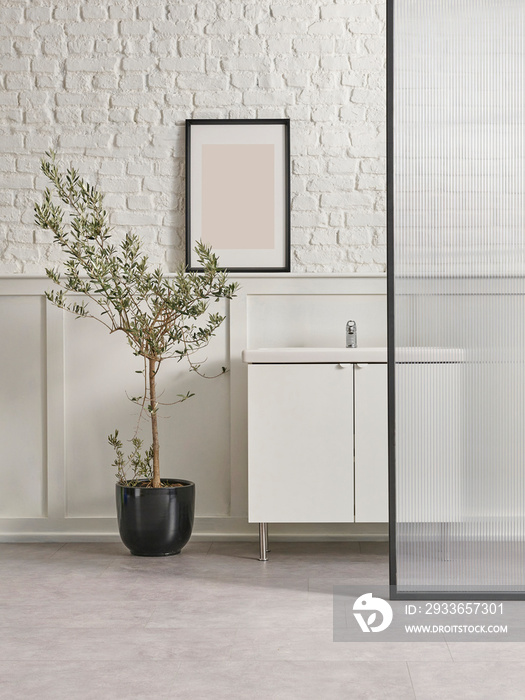 Bath room white cabinet, frame, black vase of plant olive tree, sink, white wall background.