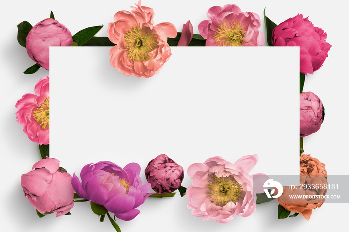 Peony flower scene logo background