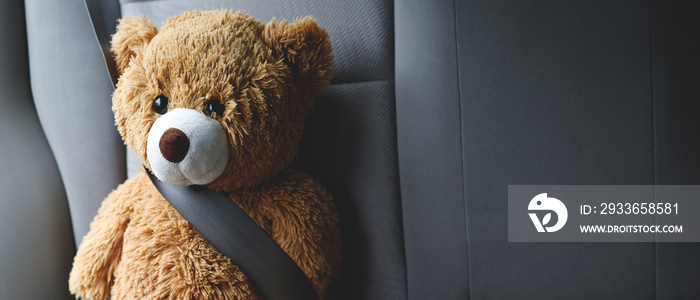 Brown teddy bear wearing car seat belt