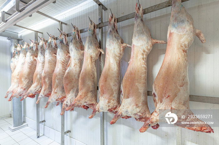 Refrigerated warehouse, hanging hooks of frozen lamb carcasses. Halal cut.