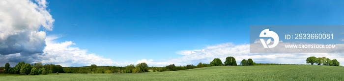 Banner with barley field in Spring with forest far away and blue sky with clouds. Panoramic composition in light green and blue colors. Germany, countryside in Brandenburg North from Berlin.