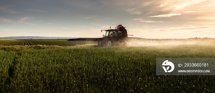 Tractor spraying pesticides wheat field.