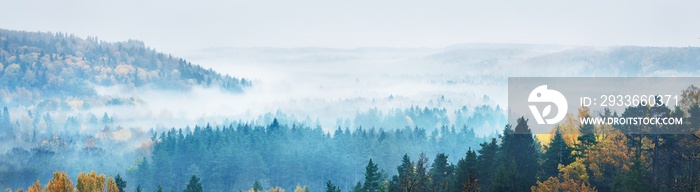 Gauja river valley and pine forest in a clouds of thick mysterious morning fog at sunrise. Sigulda, Latvia. Breathtaking panoramic aerial view. Pure nature, environmental conservation, eco tourism