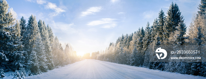 Winter road panorama