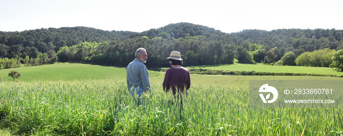 couple farmer in a wheat field