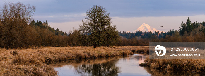 Panoramic Snowpacked Mount Hood in Fall/Winter sunset