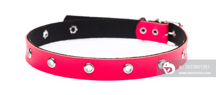 red leather dog collar isolated on white background