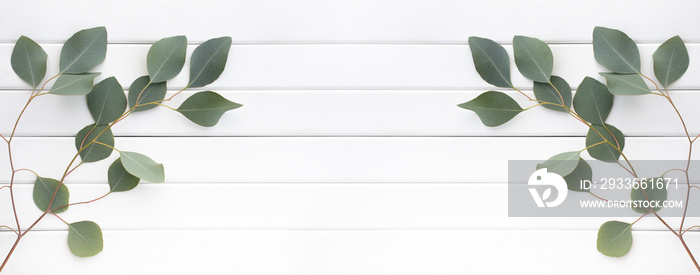 Green leaves of eucalyptus branches on a wooden background.