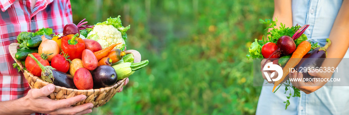 A child holds a harvest of vegetables in his hands. Selective focus.