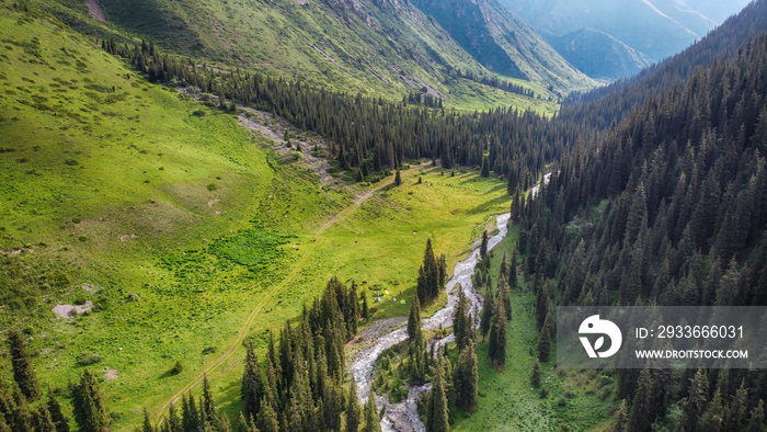 Areal view of river, green field and forest in mountains.