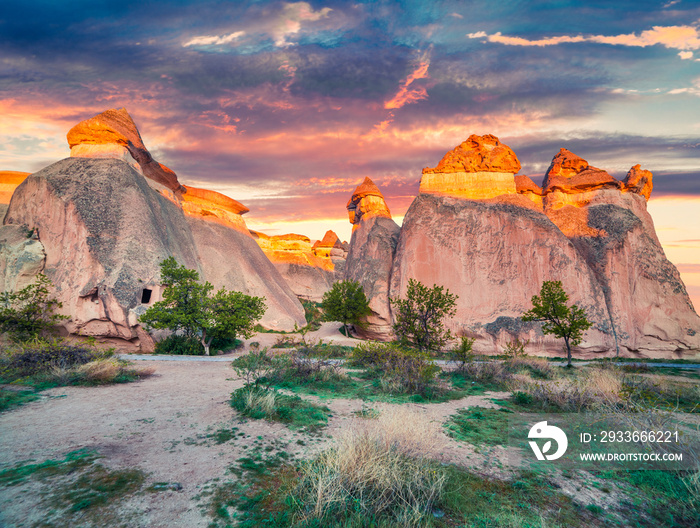 Fantastic fungous forms of sandstone in the canyon near Cavusin village, Cappadocia, Nevsehir Province in the Central Anatolia Region of Turkey, Asia. Beauty of nature concept background.