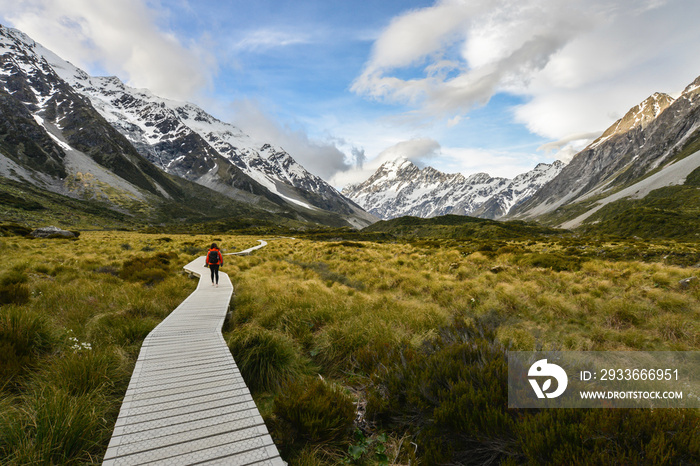 Woman backpacker walking on the wooden way to Mt Cook in New Zealand