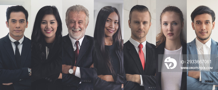 collage portrait of multi ethnic professional business people.