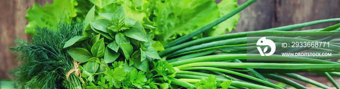 Fresh homemade greens from the garden. Selective focus.