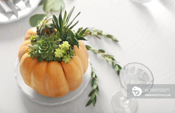 Beautiful composition of pumpkin with succulents on white table