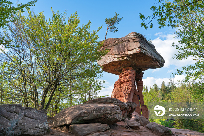 der Teufelstisch, Wahrzeichen im Pfälzerwald