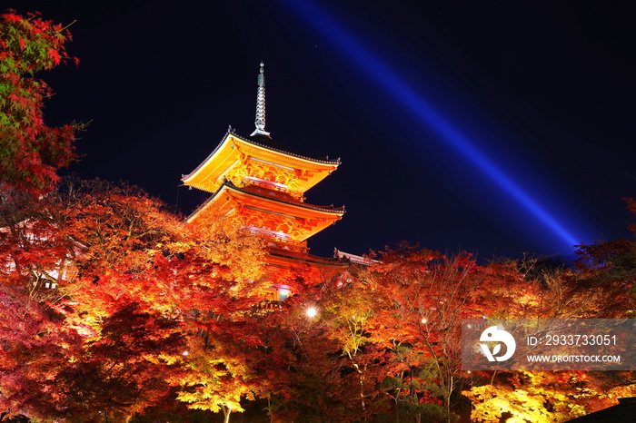 秋の京都・清水寺のライトアップ