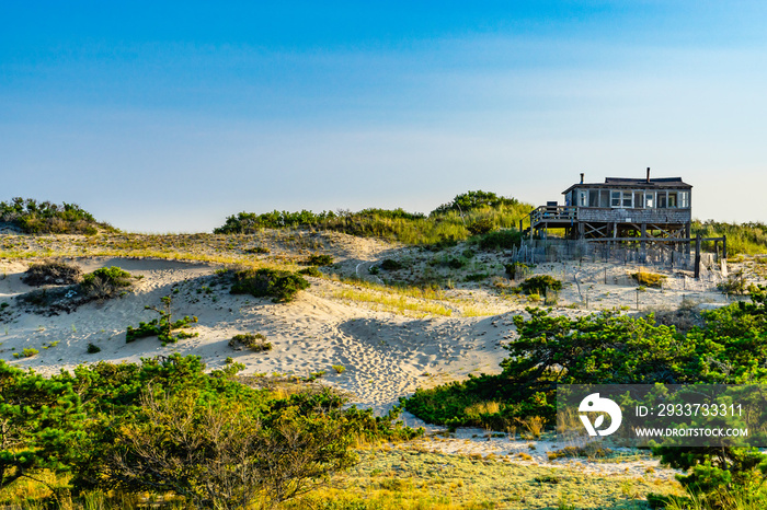 Sand Dunes, house and Grass of the Provincelands Cape Cod MA US.