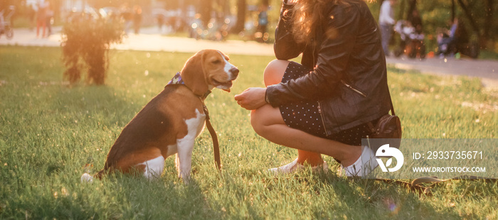 日落时与小猎犬在一起的女孩