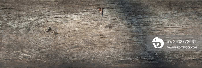 Wood texture background blank for design