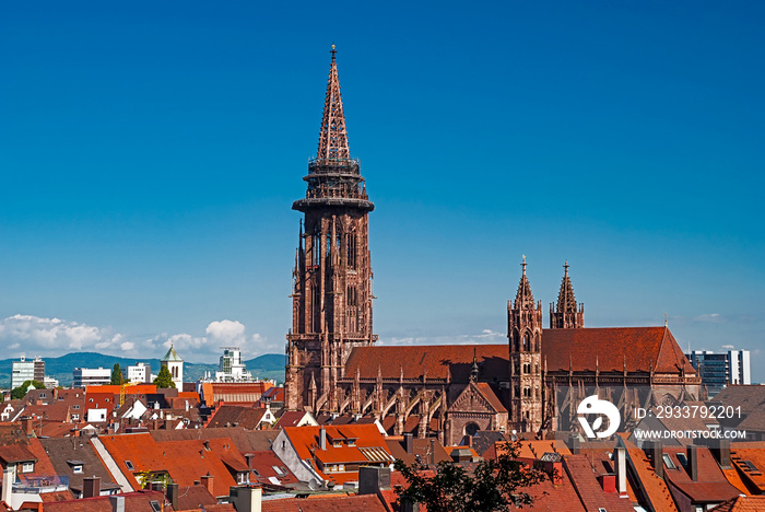 Freiburger Münster in Freiburg im Breisgau, Schwarzwald